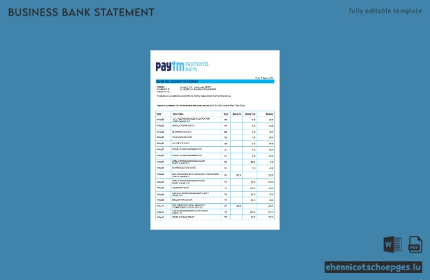 PayTM Payments Geschäftskontoauszug (Beispiel im Word- und PDF-Format)